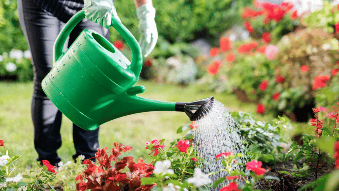 How to Water Flowers in Hot Weather Without Spoiling Them — Tips