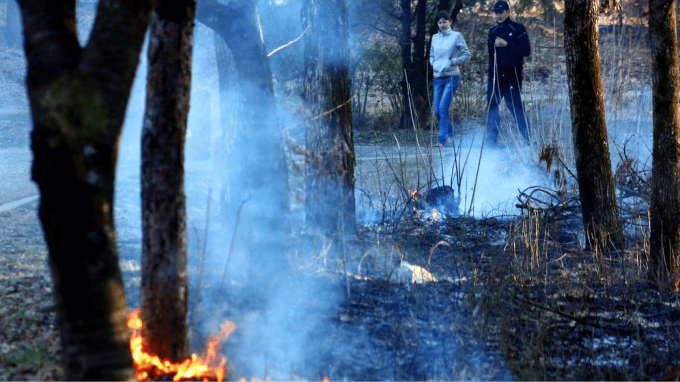 Die Entsorgung von trockenem Gras - welche Strafe droht dem Brandstifter im Jahr 2025