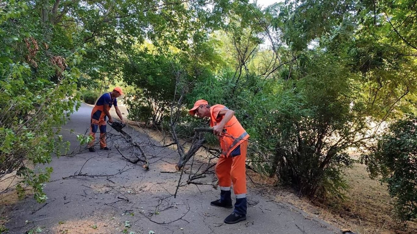 Fikcyjne rezerwy w Odessie — wojsko oskarżyło schematy urzędników